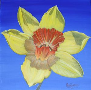 Daffy
